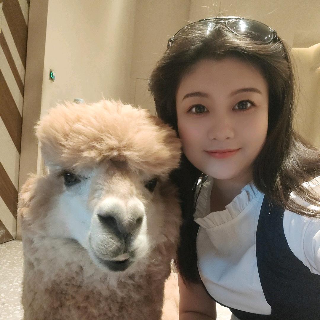 花花花花花花花花花花