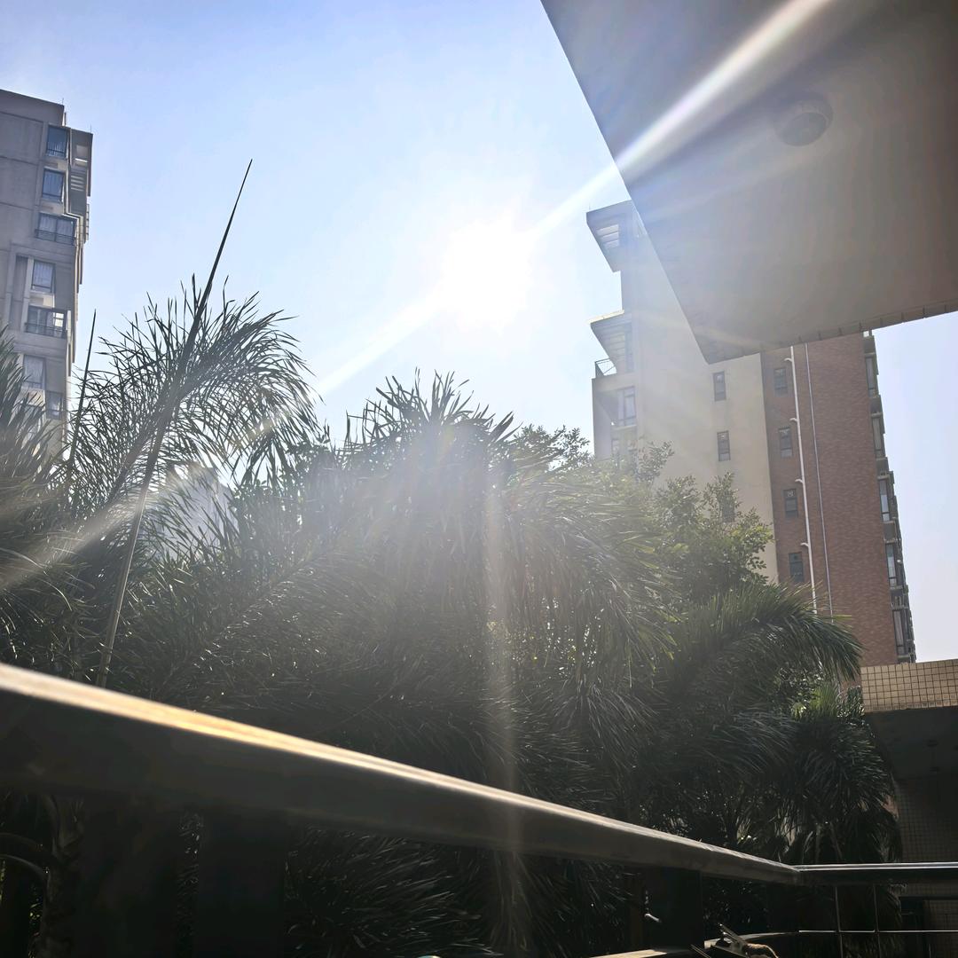 号称牛牛🐮🐮