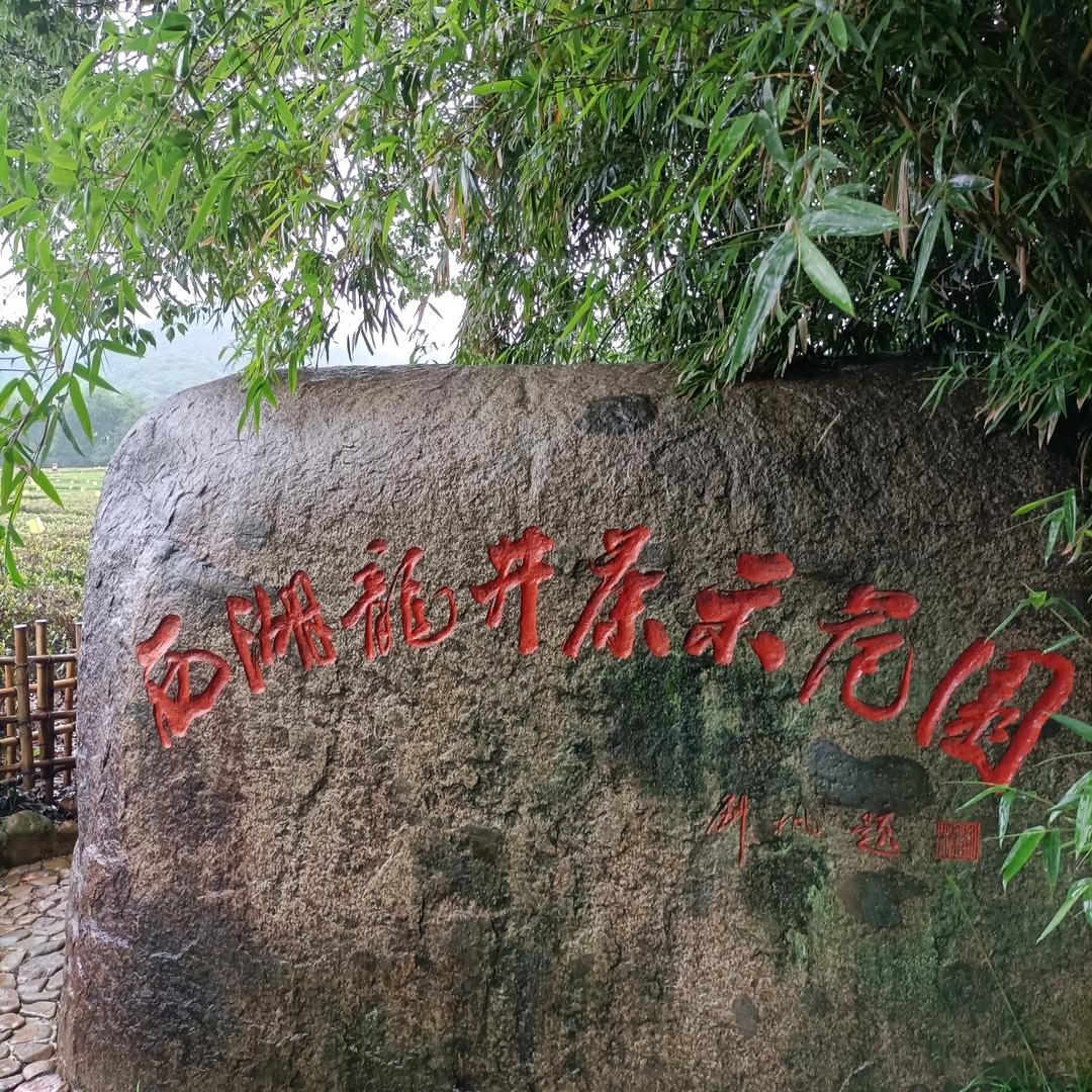 隨意