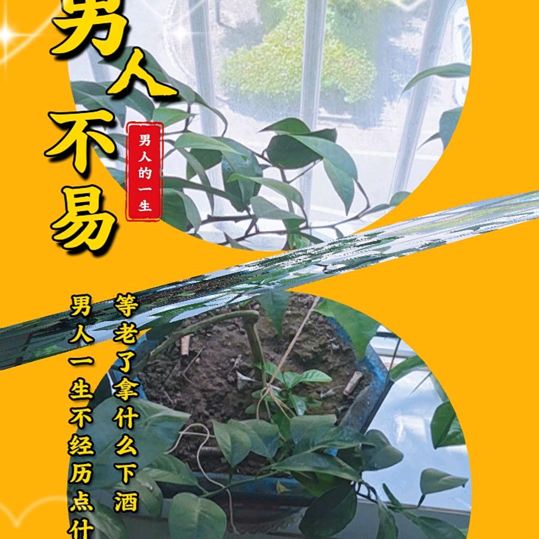 相伴一生.