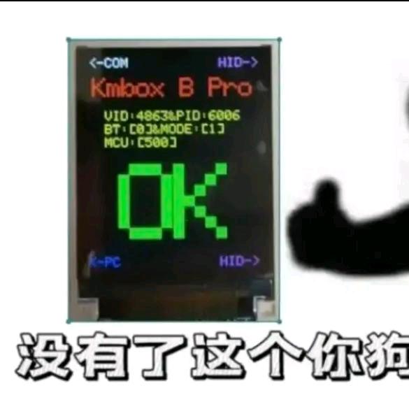 有过两天精神病史✔