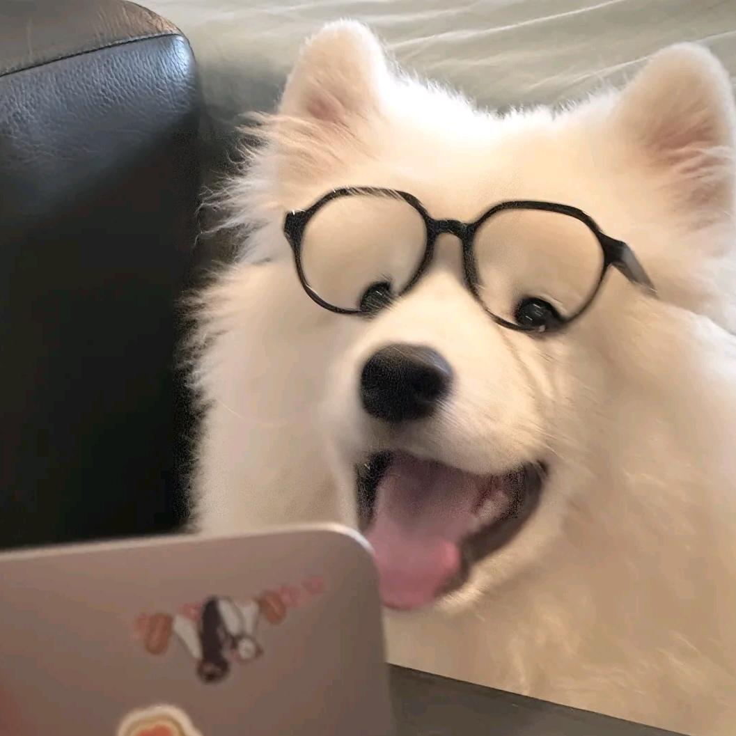 小高来也