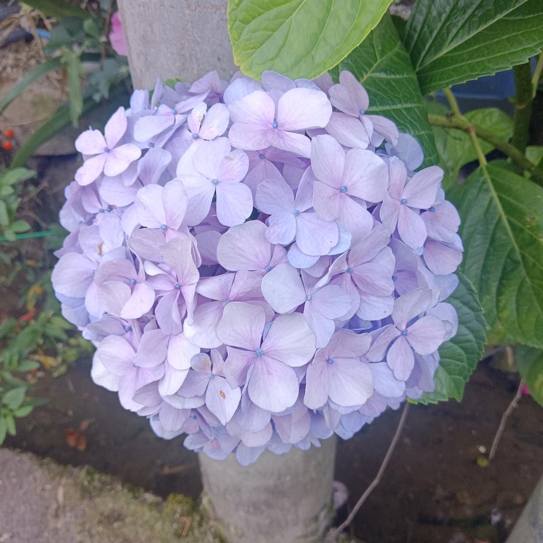 除了你，我谁都不爱