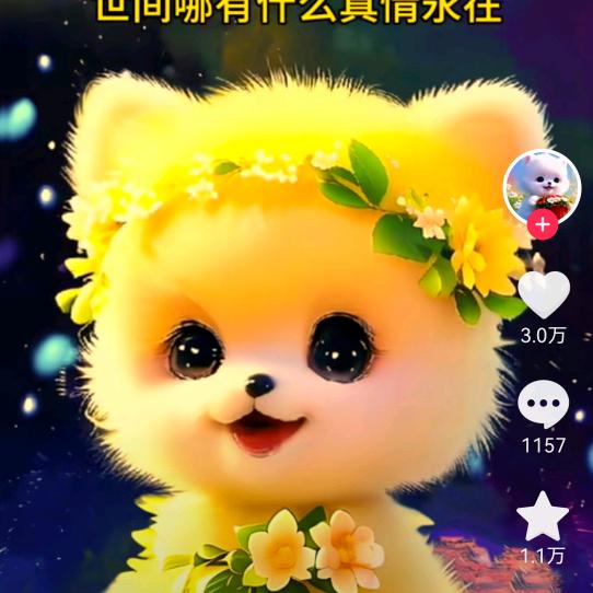 毛利吉吃货
