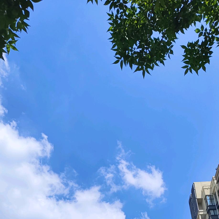 凯