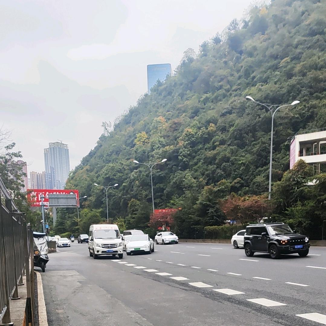 该放下了