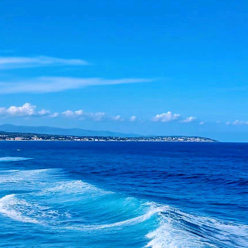 张先生，我有我的方式