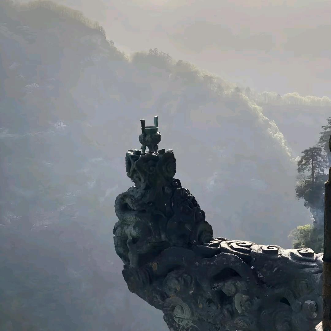龙华师兄