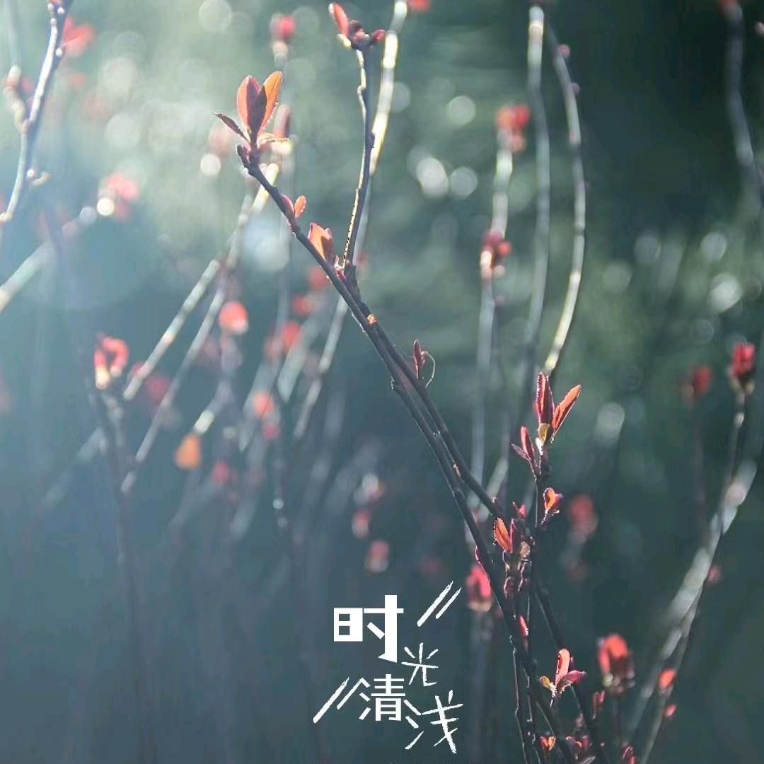 天天开心呀头像