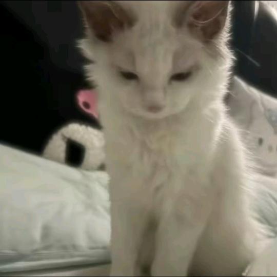 我睡觉的时候不困