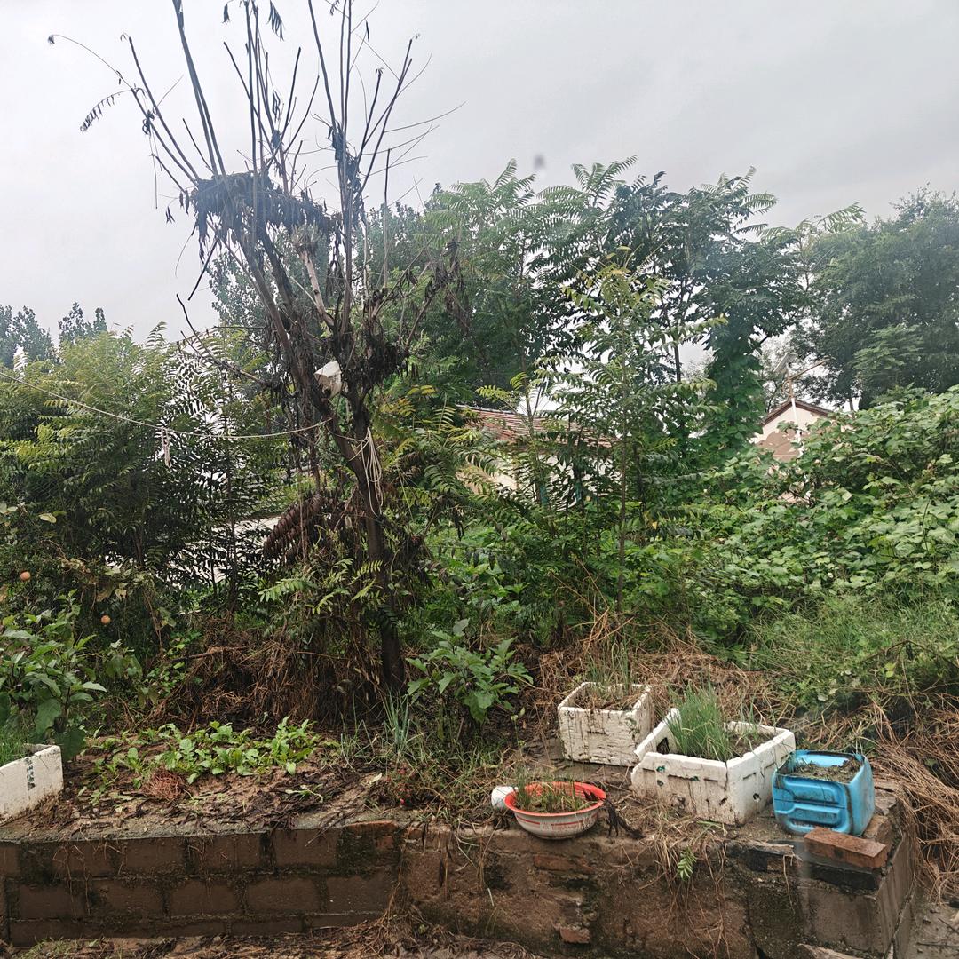 ٩(•̤̀ᵕ•̤́๑)ᵒᵏᵎᵎᵎᵎ