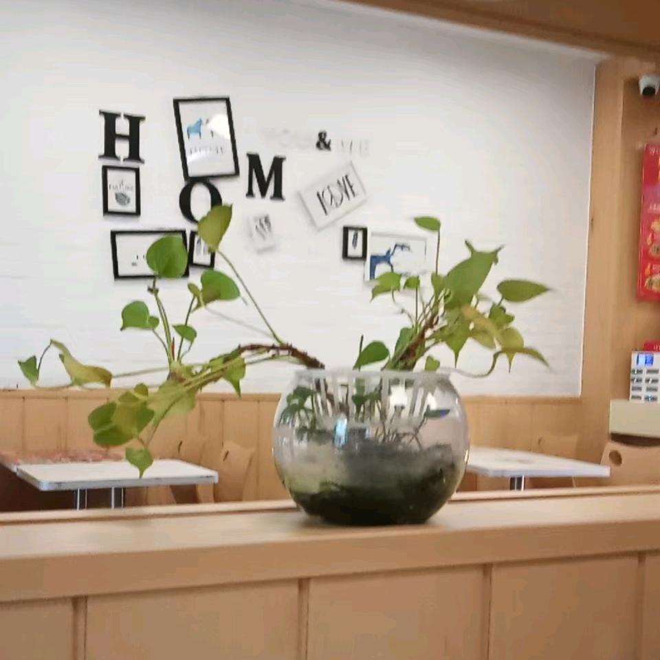🌈梦幻天使