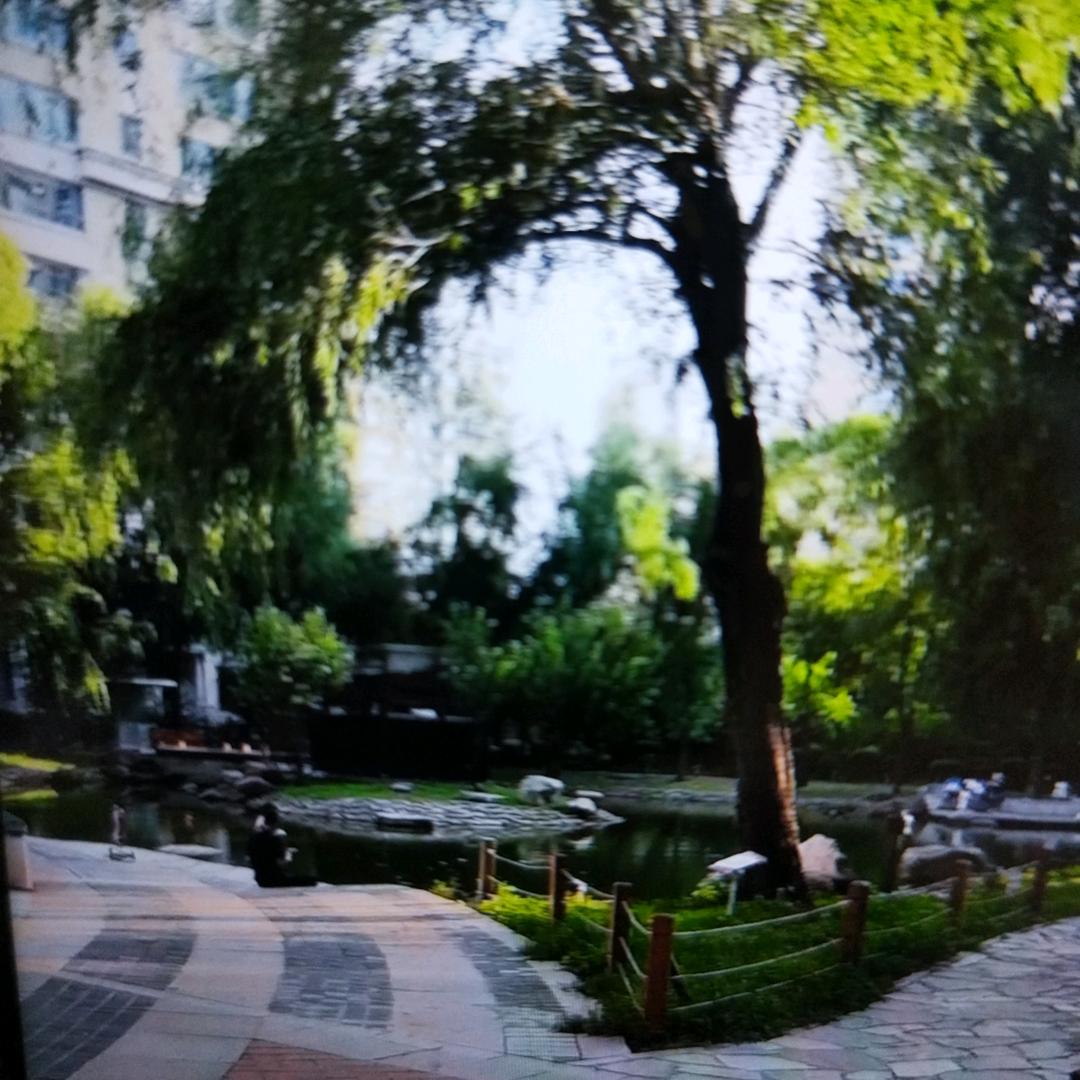 顺其自然精品