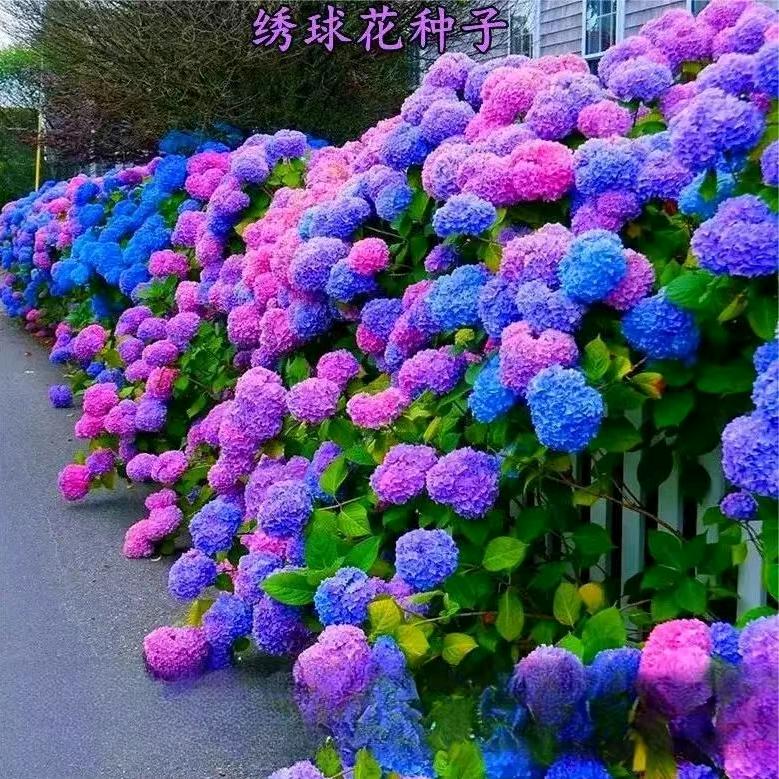 凶`內龘。