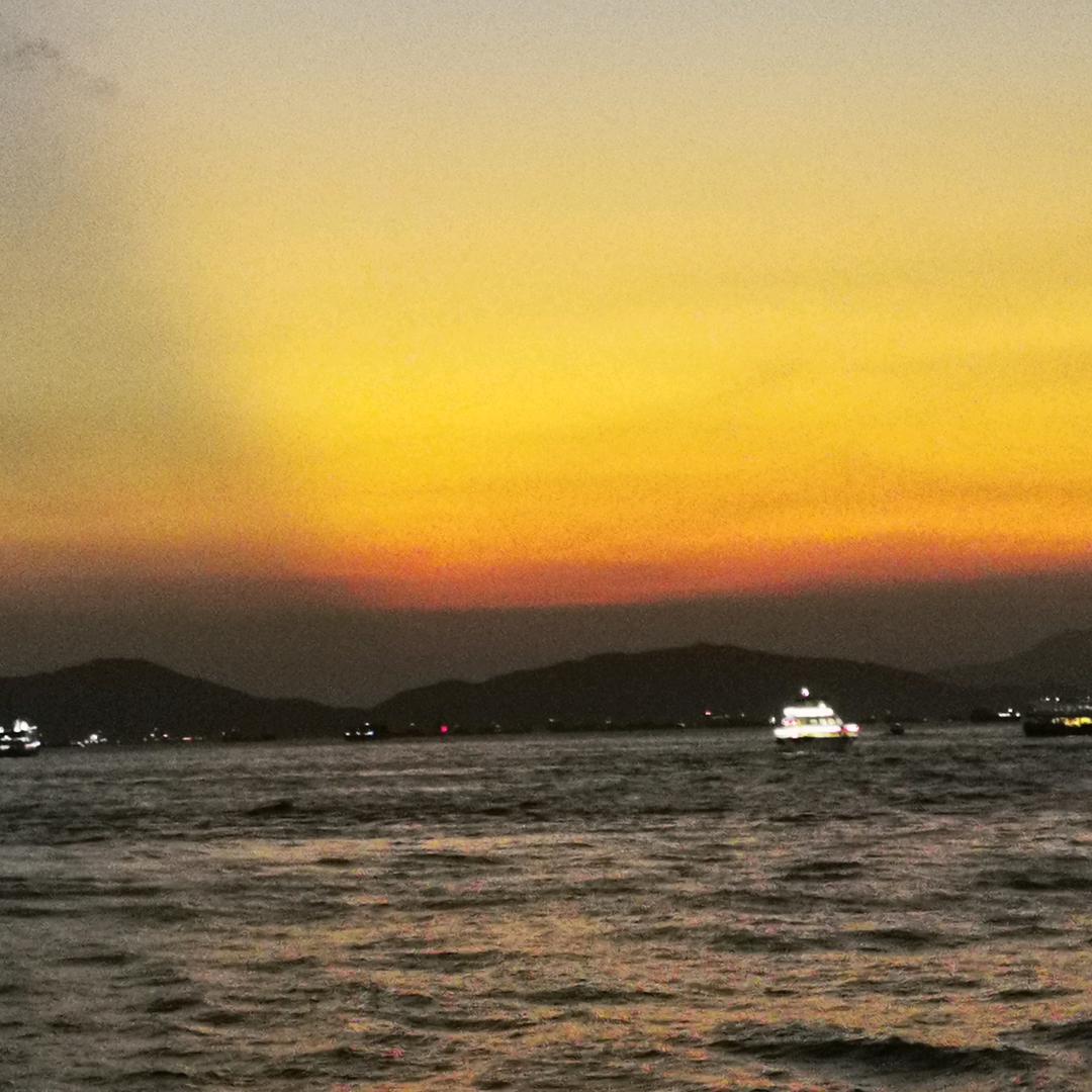 爱的路上有你有我