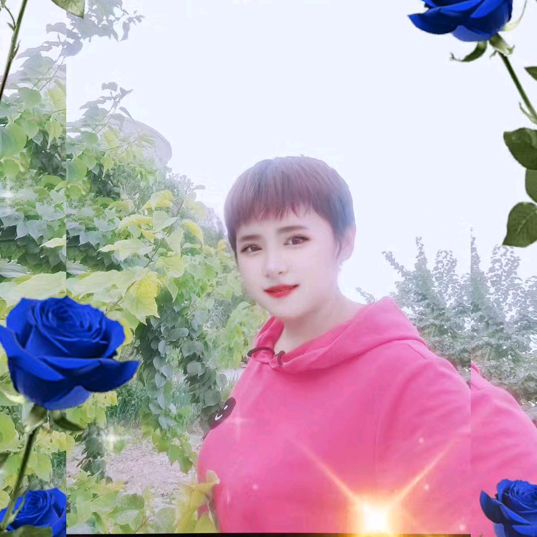 鹰姐