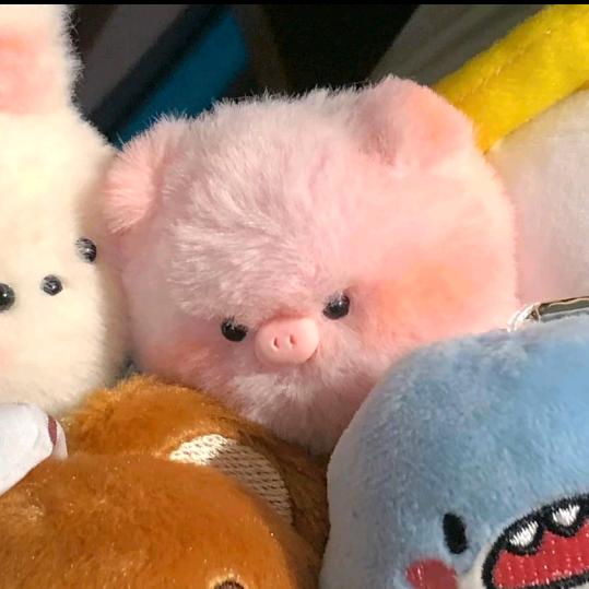 猪🐷影视