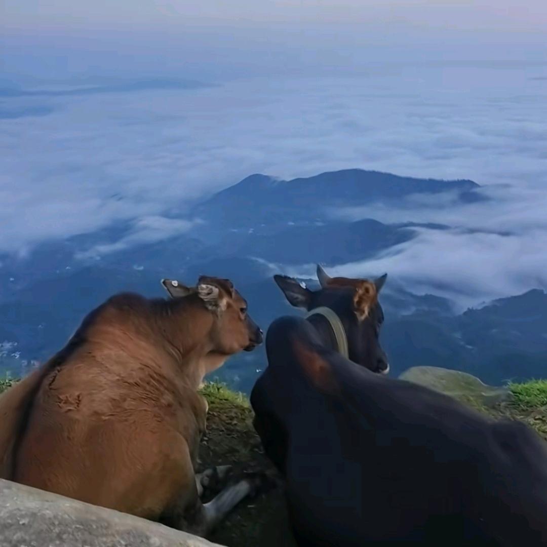 风驰天下