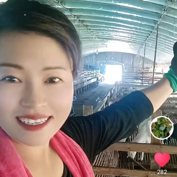 农村芳姐