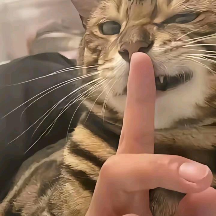 不二正