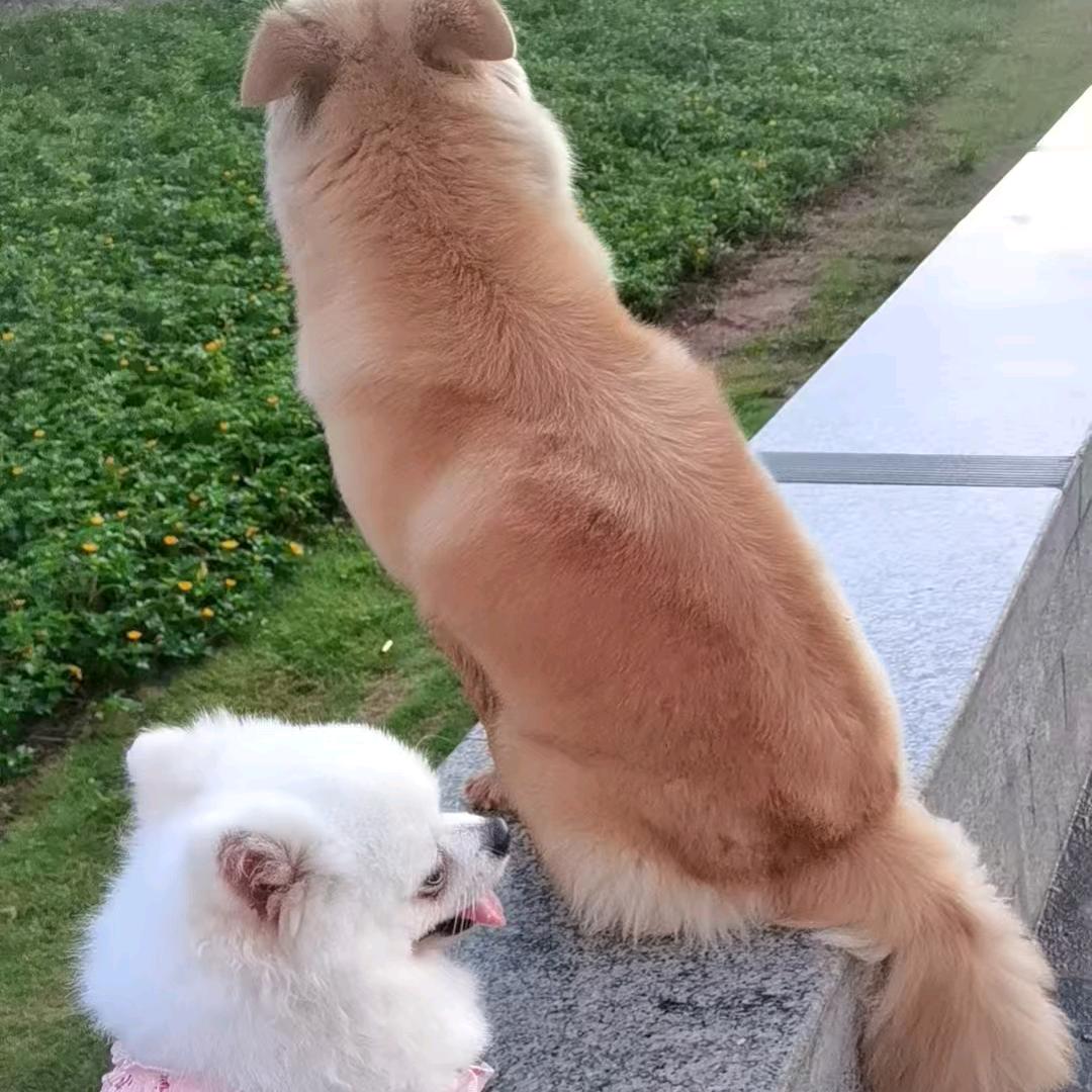 明天更好