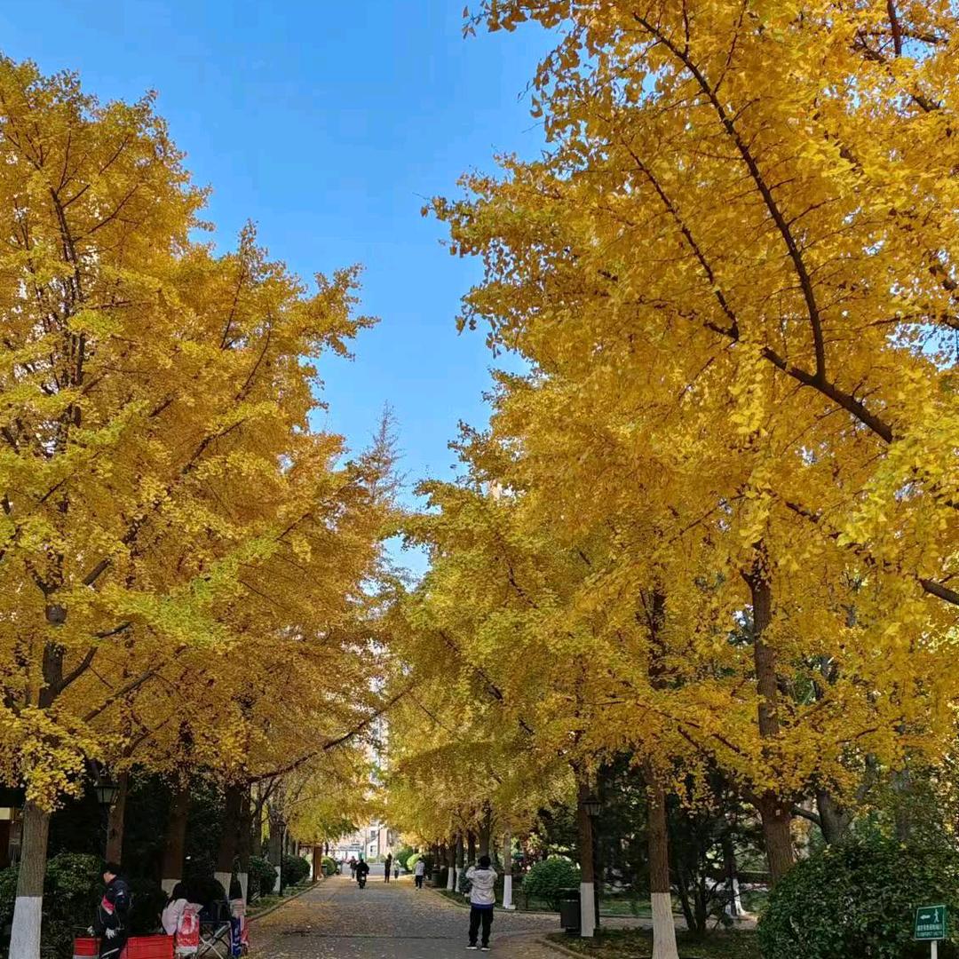 铝镁钛合金室内门