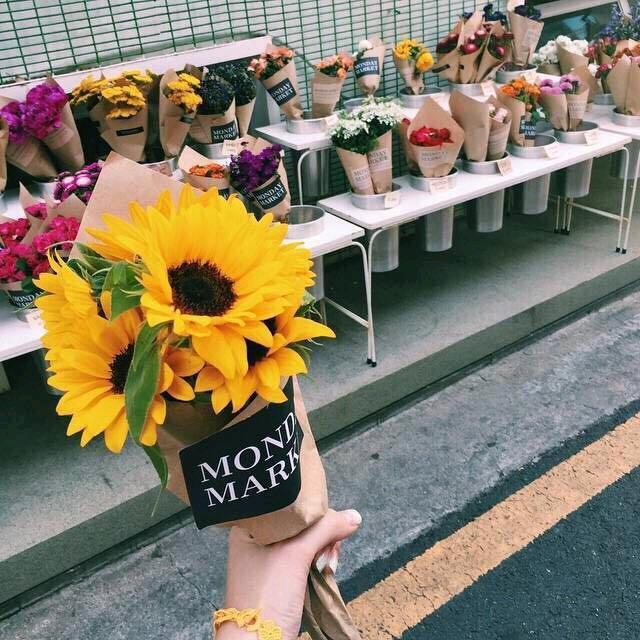 🌻♐️