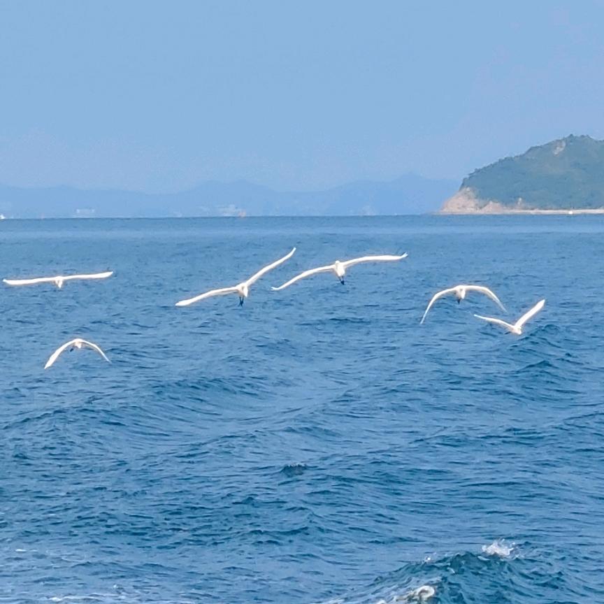你是我的主角