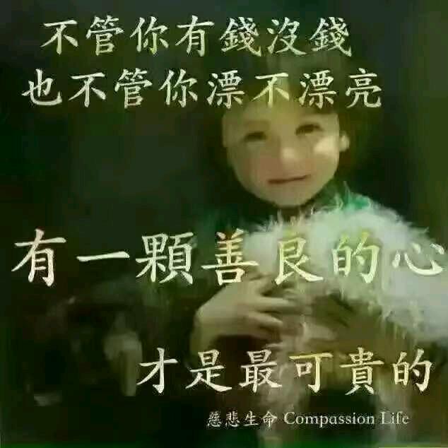 杨杨得意