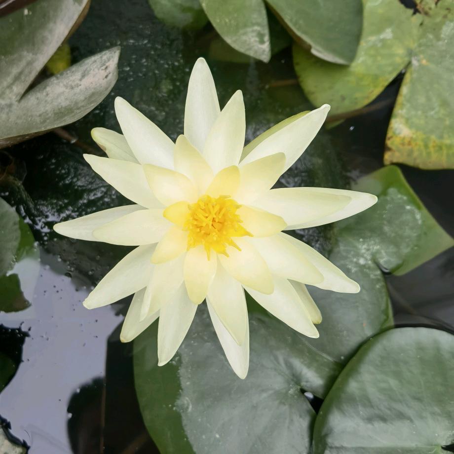 ジ如此゛熟悉、