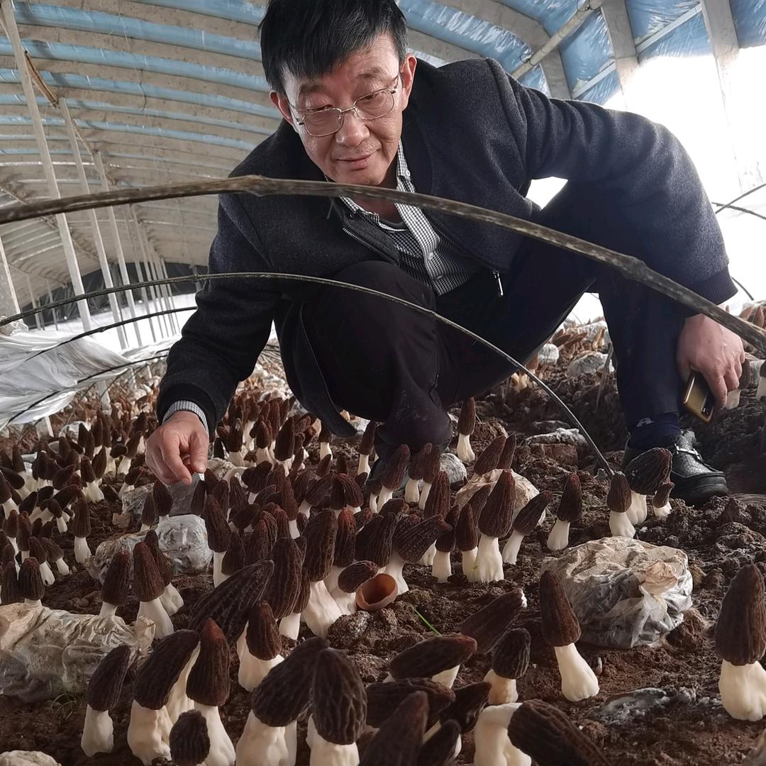 金土地农庄陈全勇