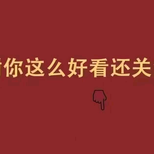 努力蛋总