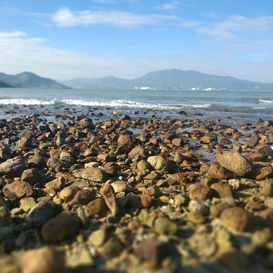 食力派夜宵鸡煲烧烤
