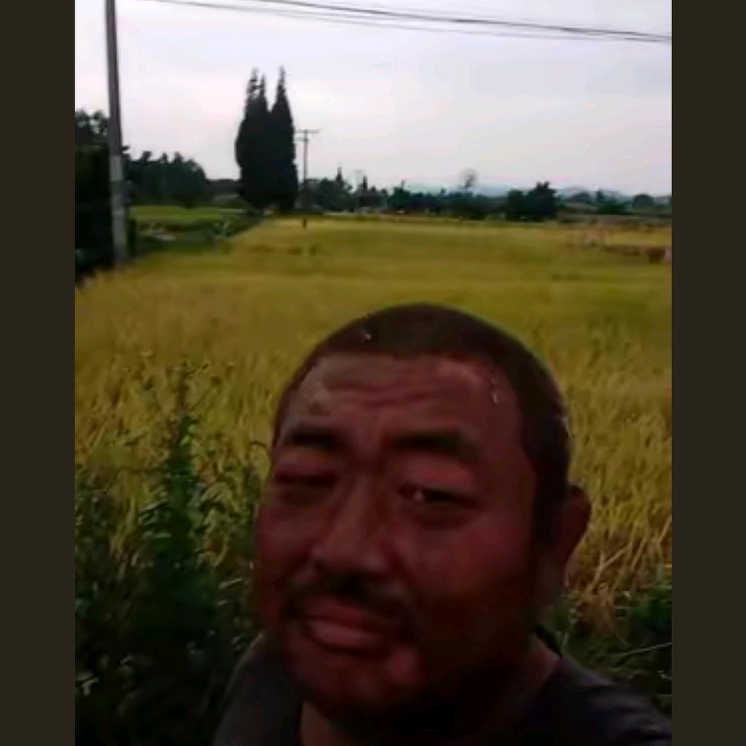 农民胖哥