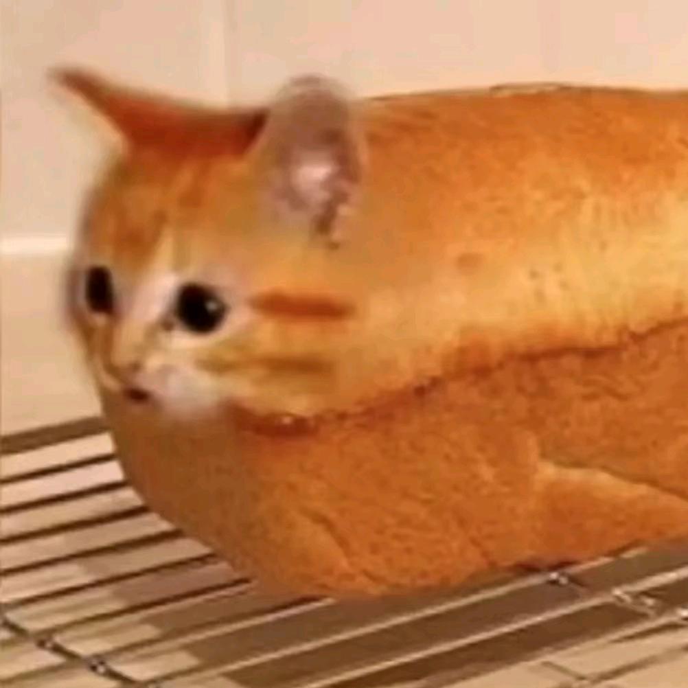 秋天的事等11w人