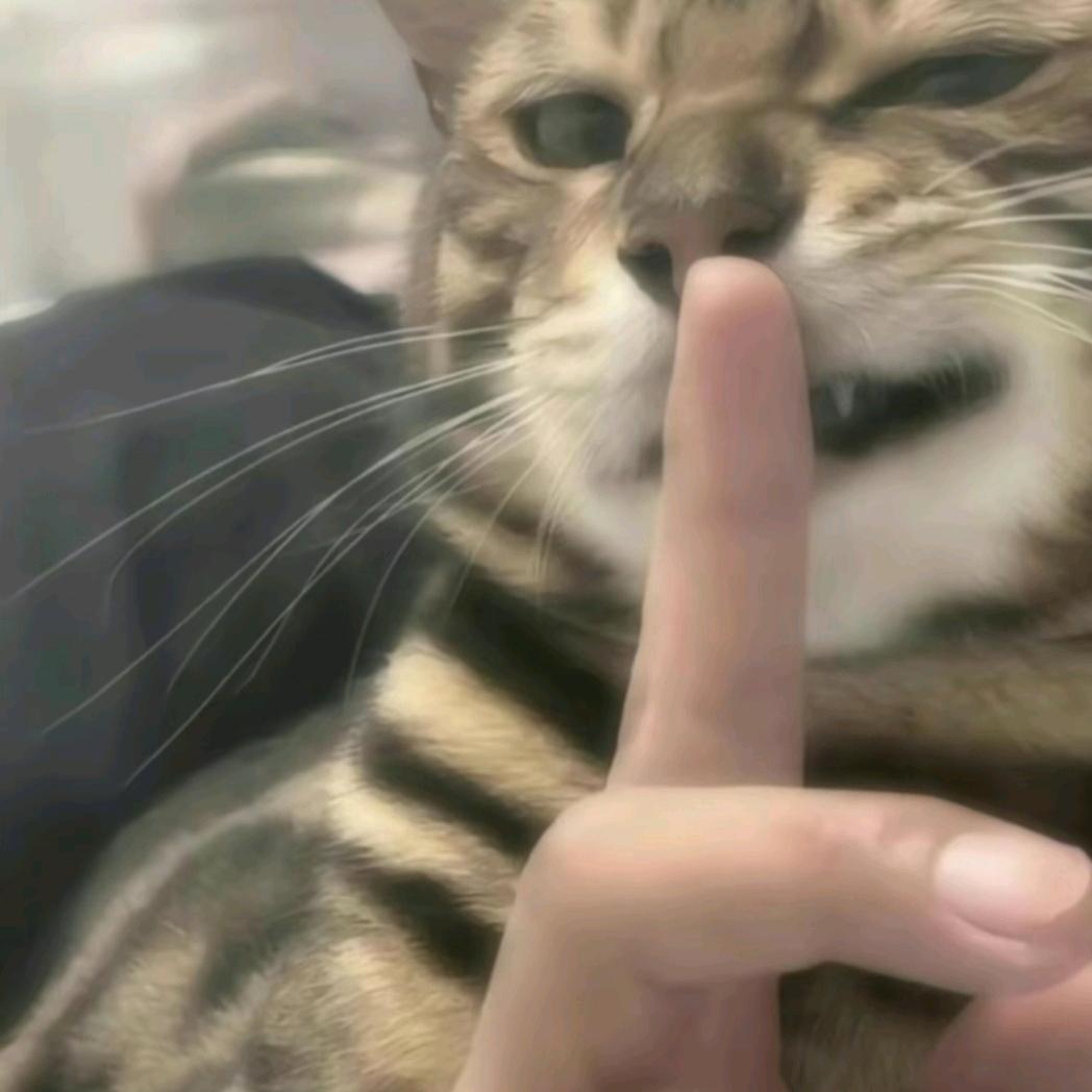 害怕对抗