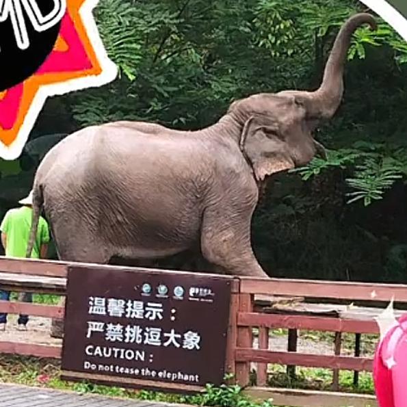 喂鱼大师