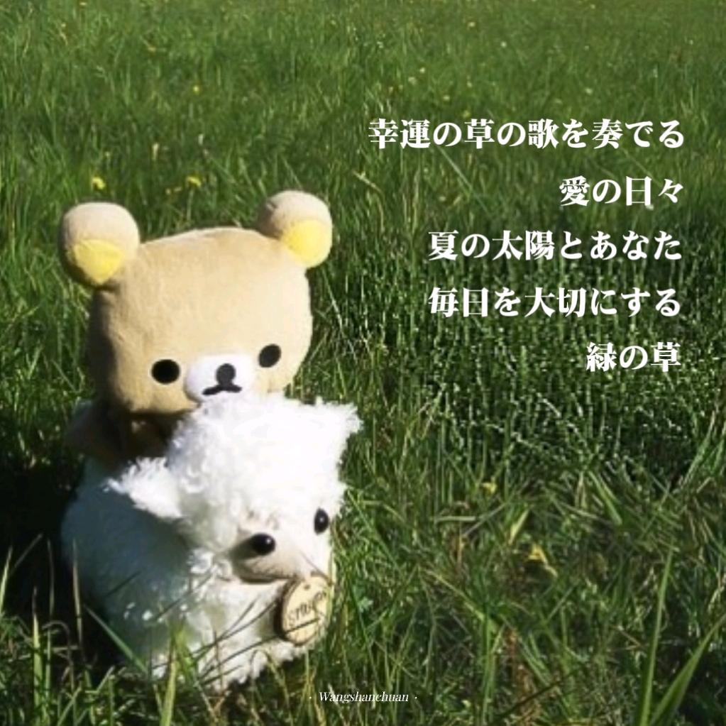 你替我回去吧