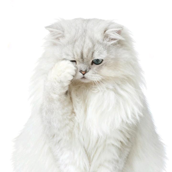 ༺💰多姿ᝰᩚ多财