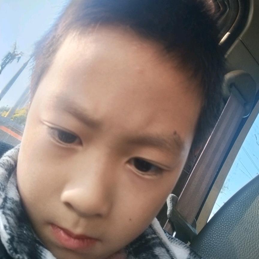 成年人的世界