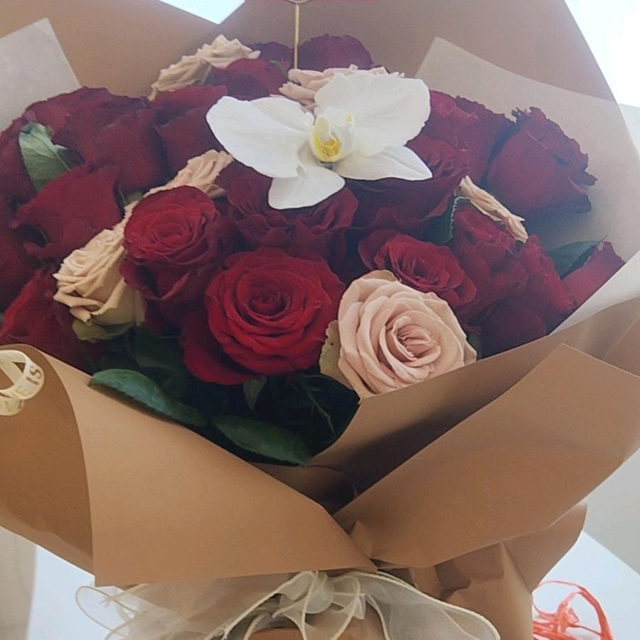 💐(一生有李)🌹