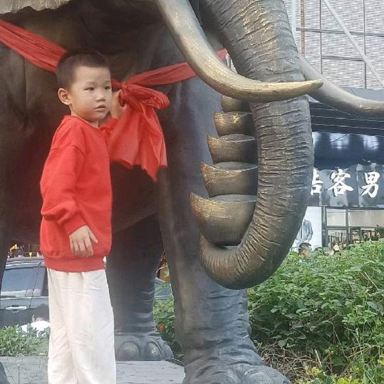 真诚