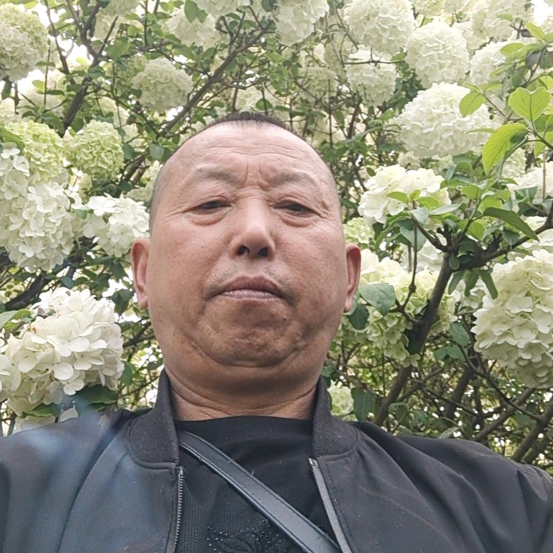 张师傅，直看不刷。