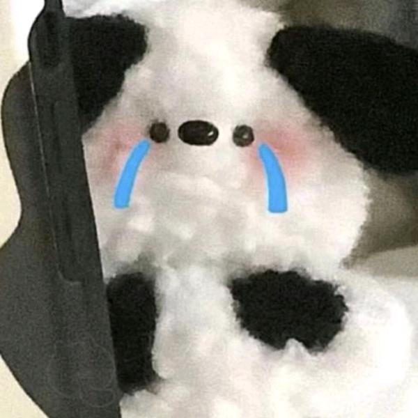 不知道叫什么.