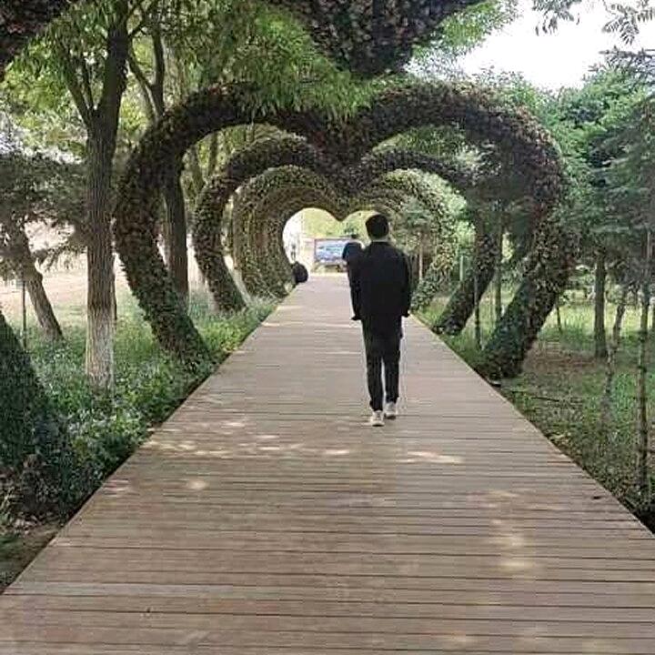 阿&雄