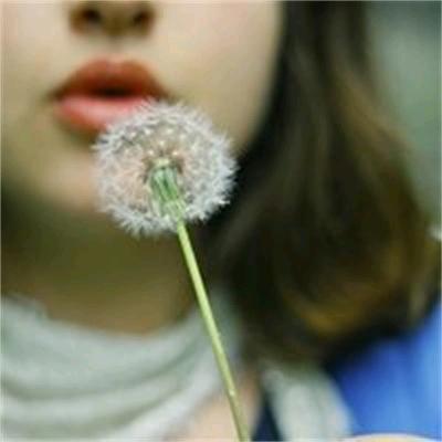荔