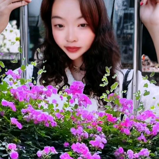美才人