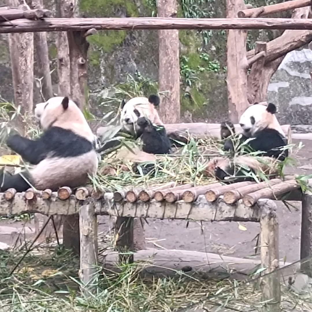 做自己的光