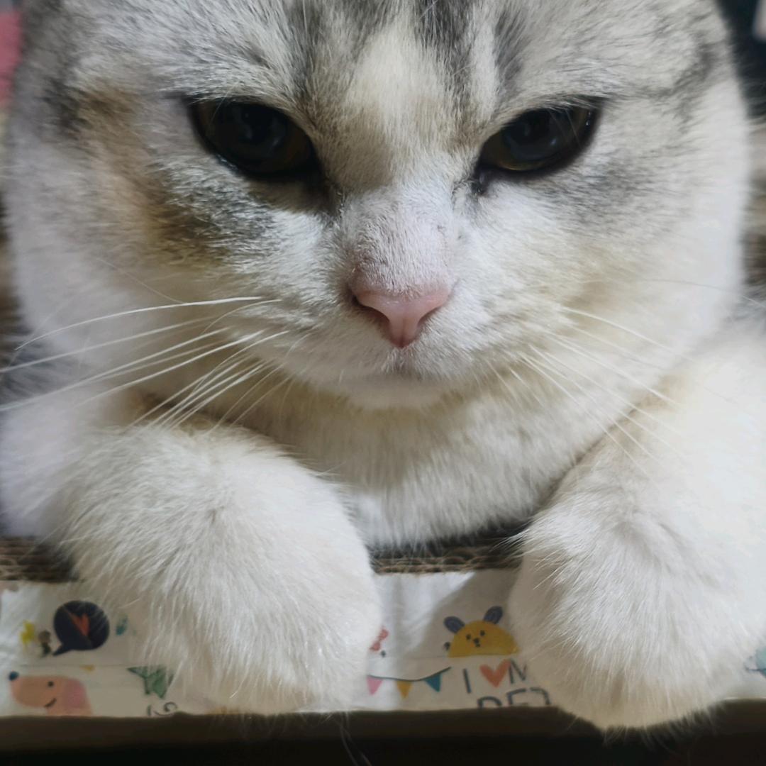 赐予