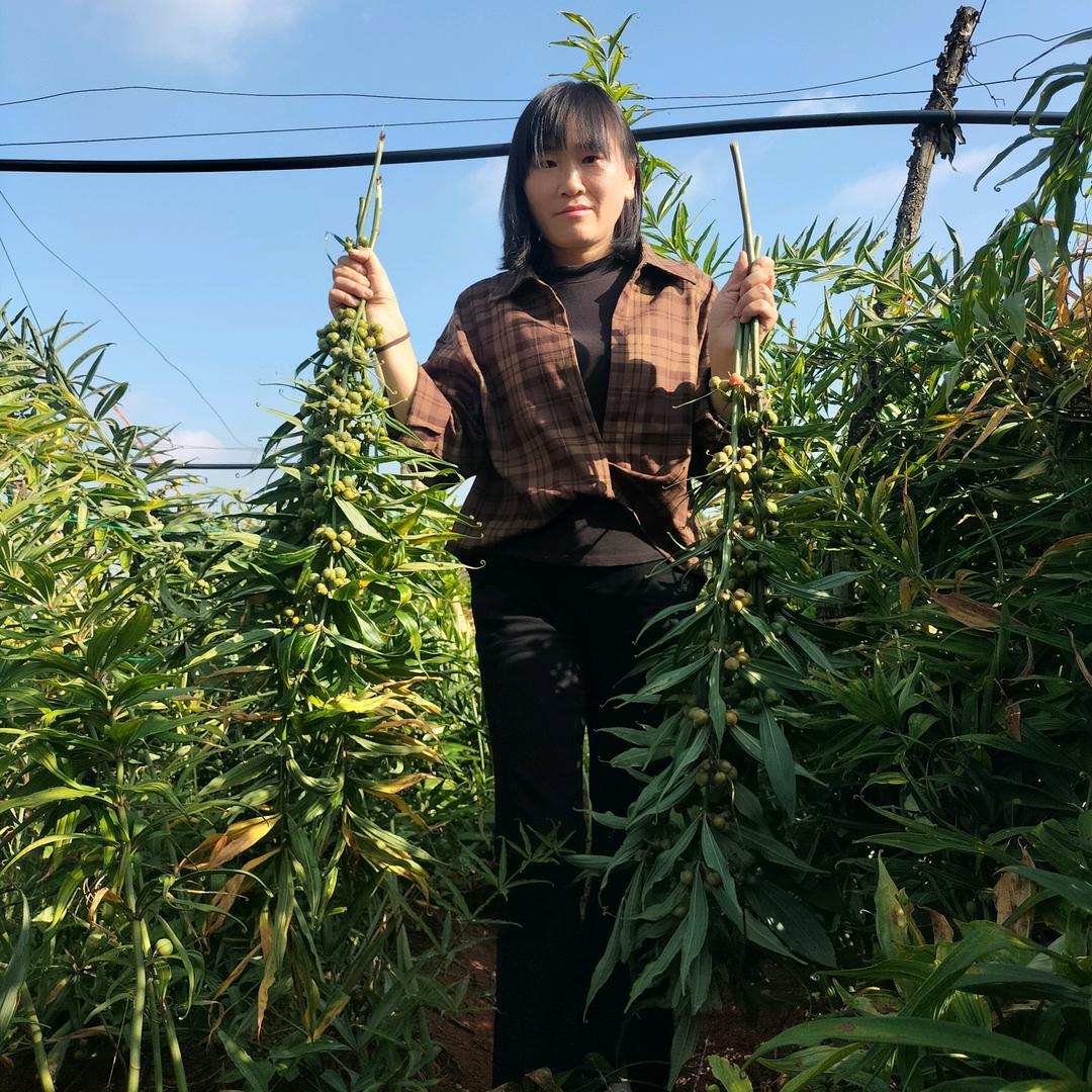 惠农帮（罗平重楼小姐姐）